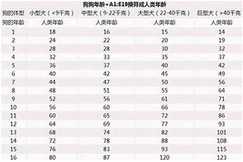 属狗的今年几岁|属狗的今年多大